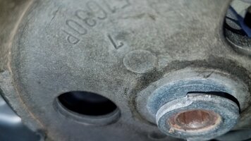 20200419_161459_resized (1).jpg