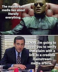 mainstream-media-lies-about-everything-im-going-to-need-to-verify-that-claim-with-link-to-cred...jpg
