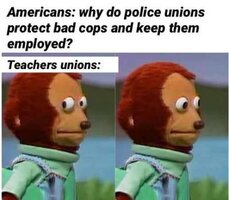 americans-why-do-police-protect-bad-cops-keep-employed-teachers-unions.jpg