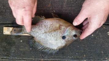 2016-05-28 20.10.08.jpg