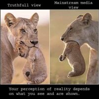 truthful-view-mainsteam-media-lion-cub-mouth.jpg