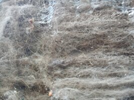 20200523_144857 (1).jpg