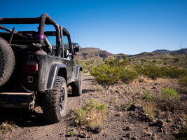 Peloncillo Mountains-33.jpg