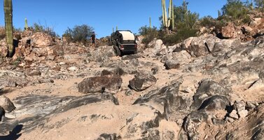 Gatekeeper Elvis.jpg