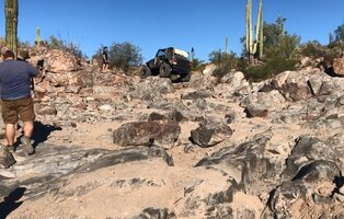 gatekeeper elvis 1.jpg