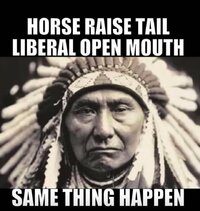 Horse Raise Tail.jpg