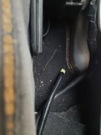 2023-06-21 20.31.34.jpg