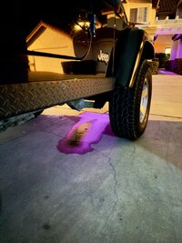 Water Puddle Pic1.jpeg