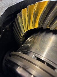 Sterling Pic Pattern 4.2.jpg