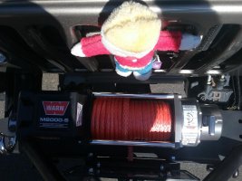 TRE winch line from above.jpg