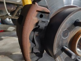 2019-03-21 09.08.53.jpg