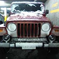 four angry squirrels