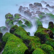 powerstrokeunleashed