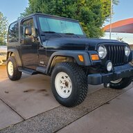 Renegade TJ