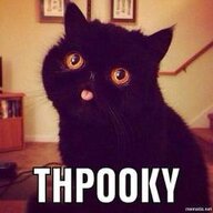 THPOOKYCAT