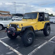 yellowjacket_tj